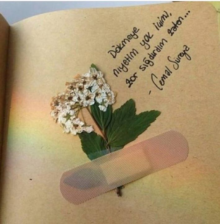 Edim