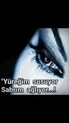 Olcay