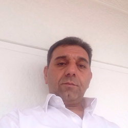 Şahin