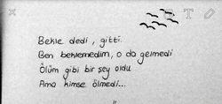 Oğuz