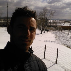 Şahin