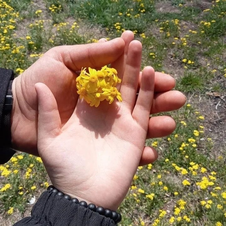 Osman