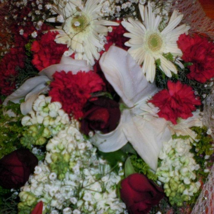 Nazan