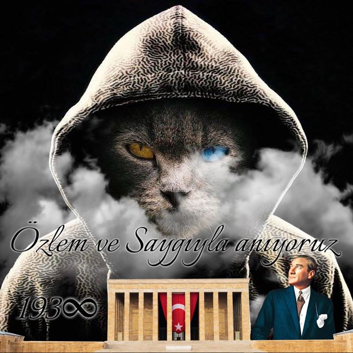 Kadir