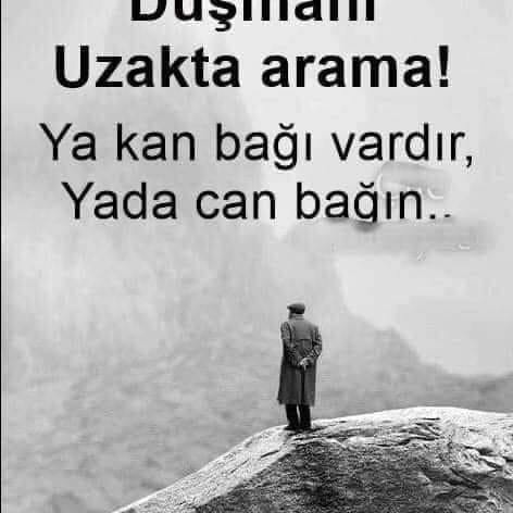 Şenay