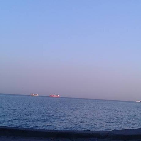 Alican
