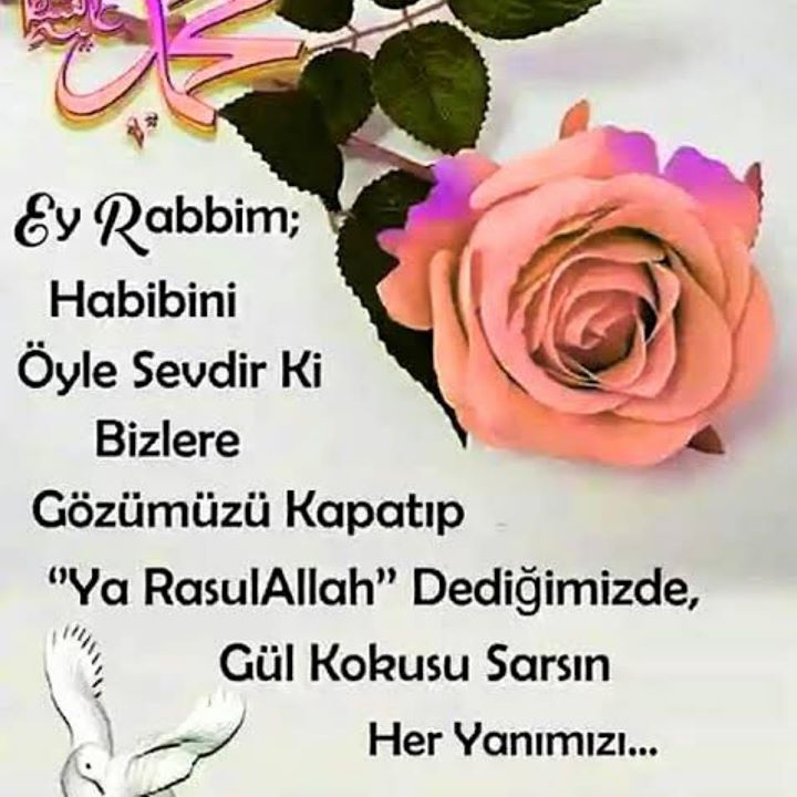 Koray