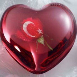 Rabia