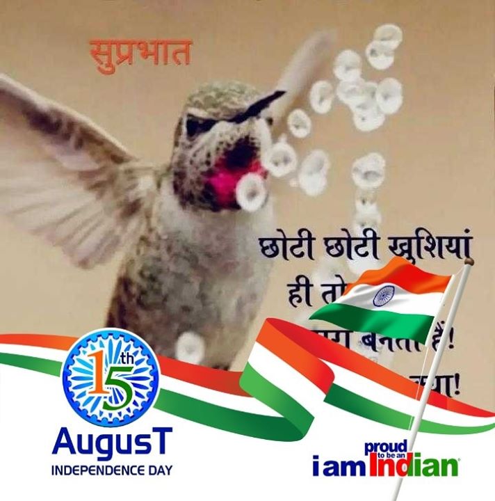 Anil