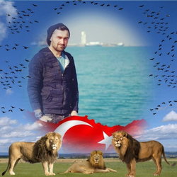 Engin