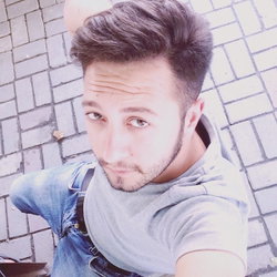 Şahin