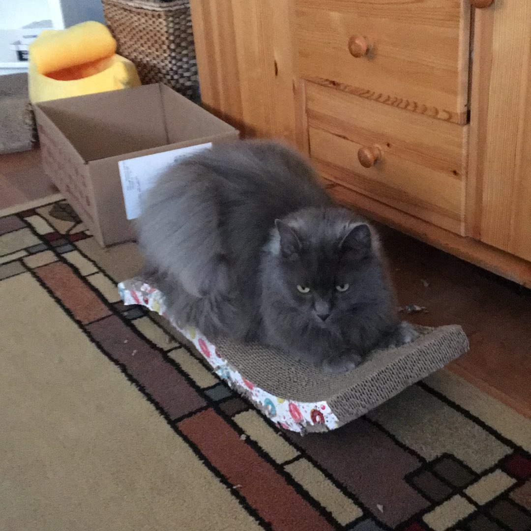 Jeffrey