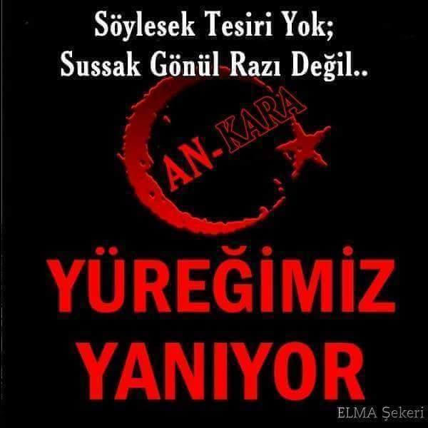 Selin