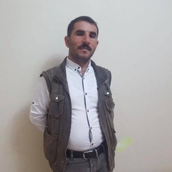 Mahmut