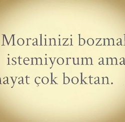 Aysun