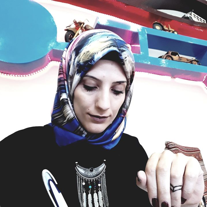 SiNem