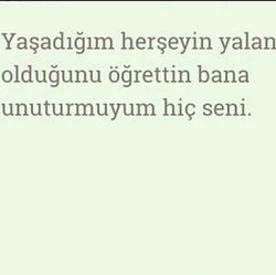 Ergin