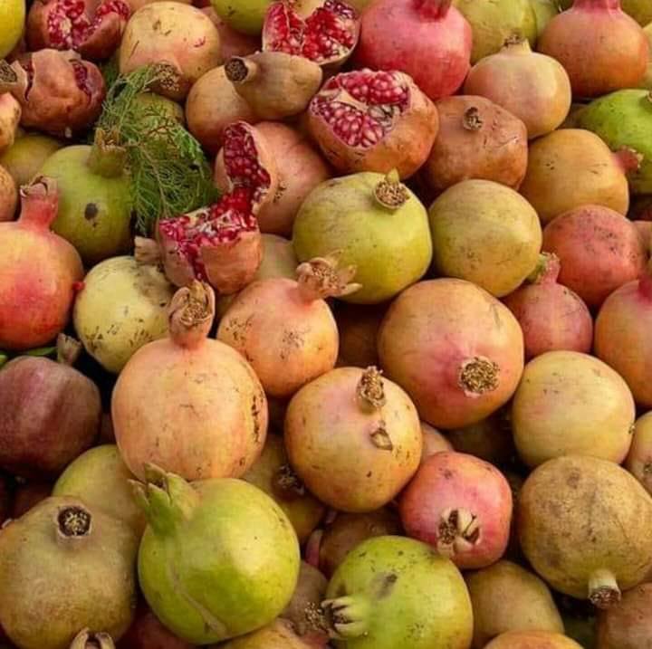 فارس