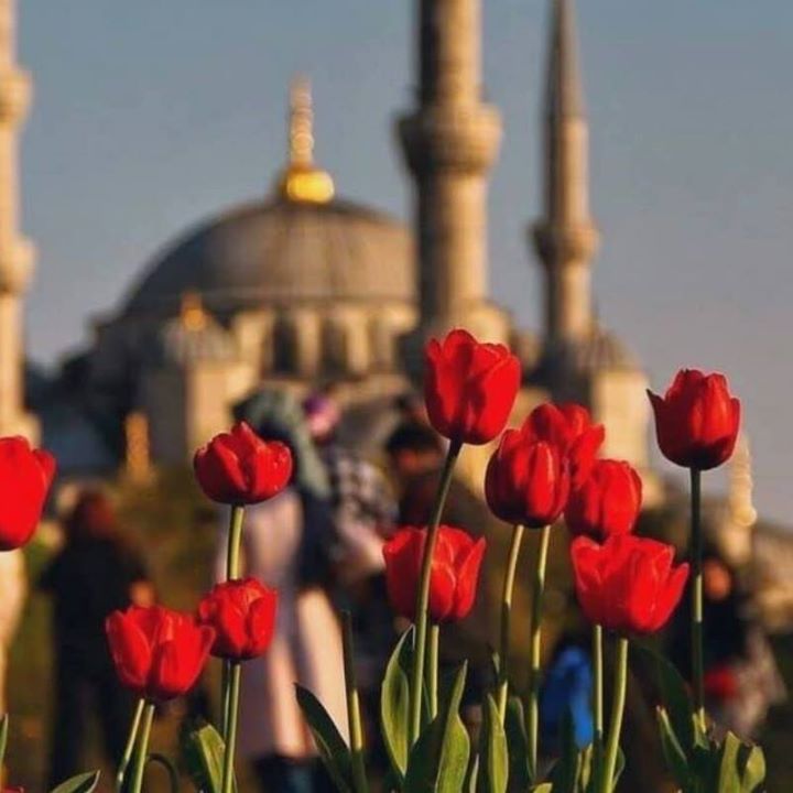 Cemre