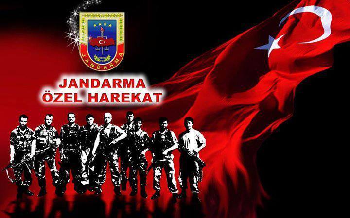 Bulut
