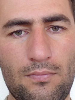 Serdar