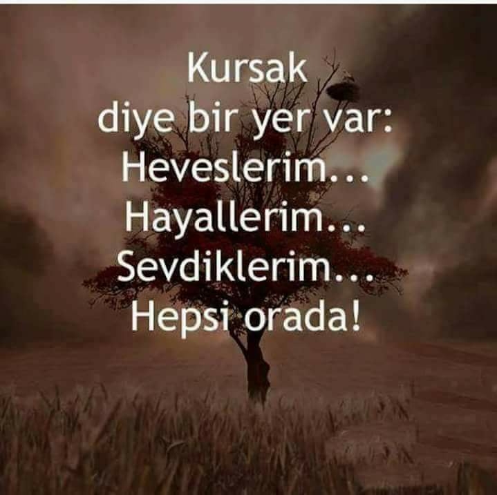 Mediyne