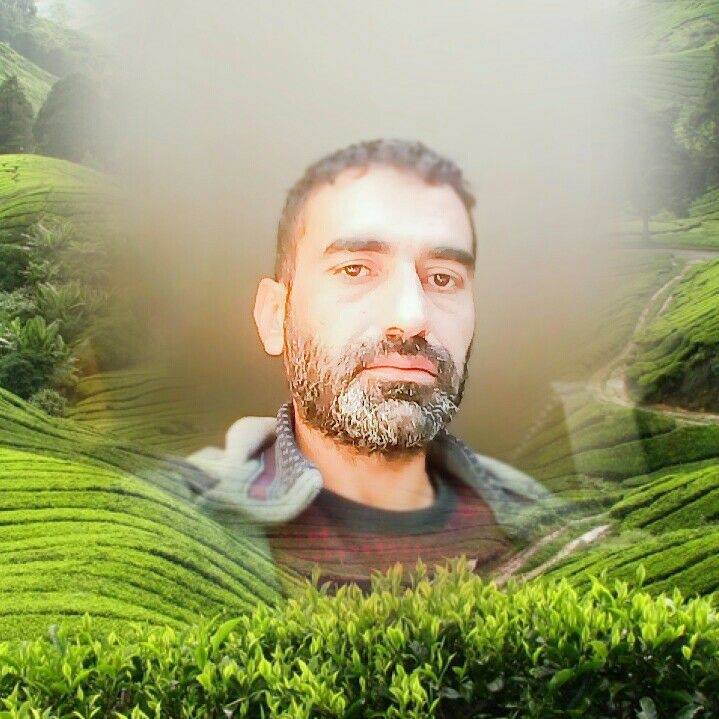Orhan