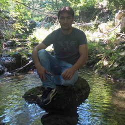 Özgür