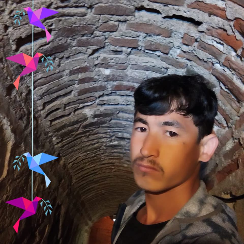 Ailm
