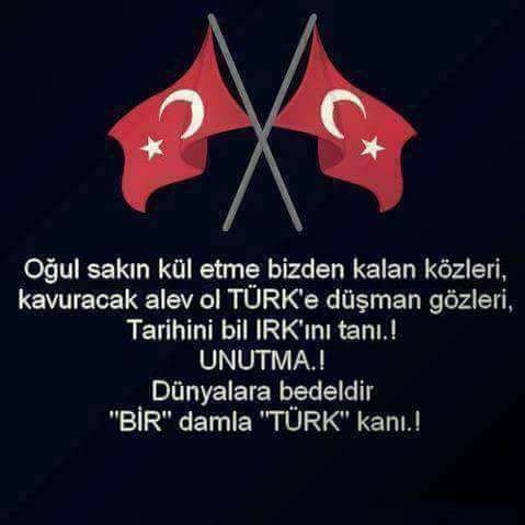 Yiğit