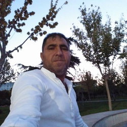 Murat