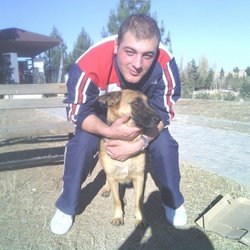 Halit
