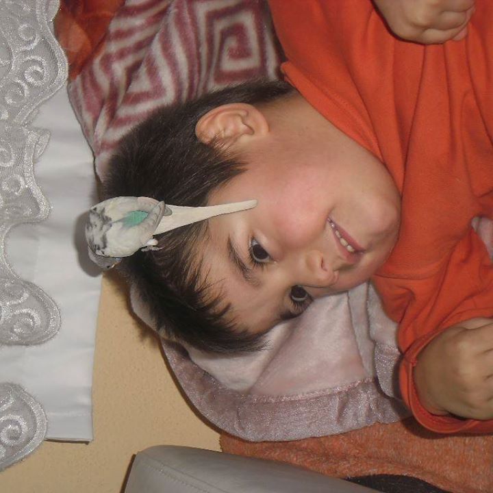 Serkan