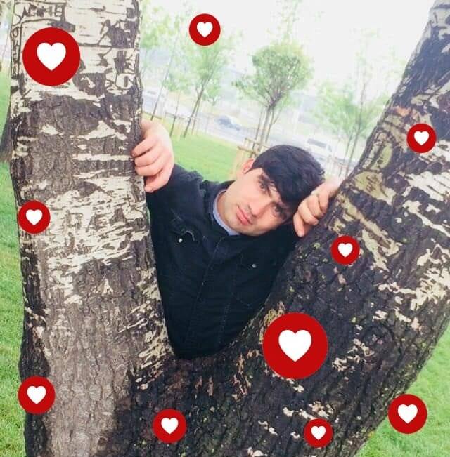 Fareed