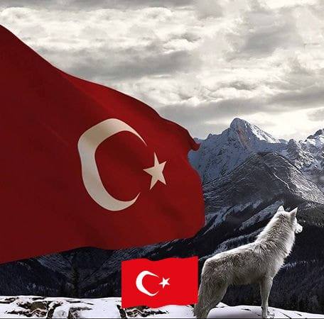 Cafer