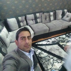 Shadi