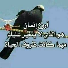 علي