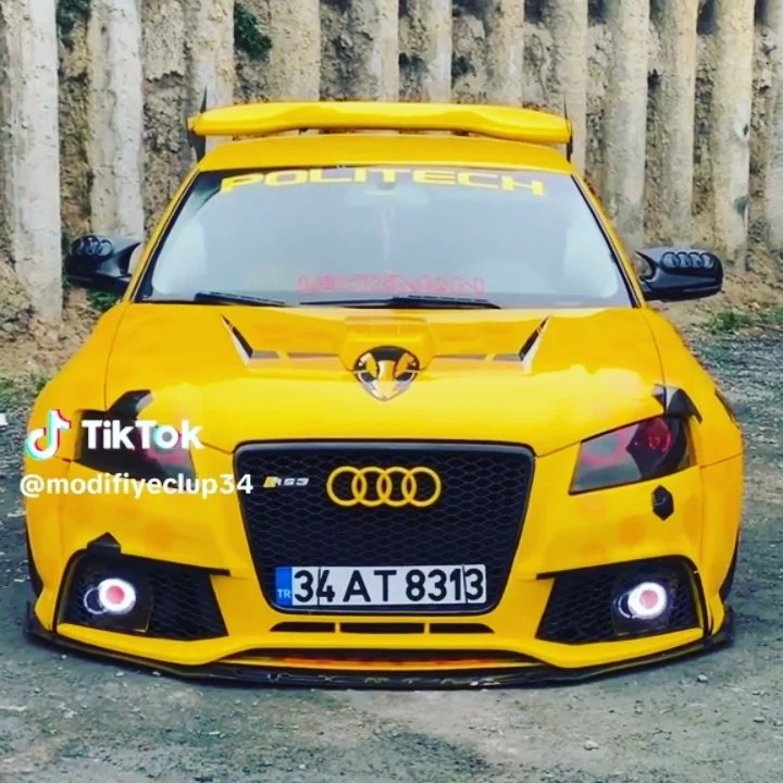 Caner