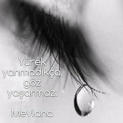 Melis