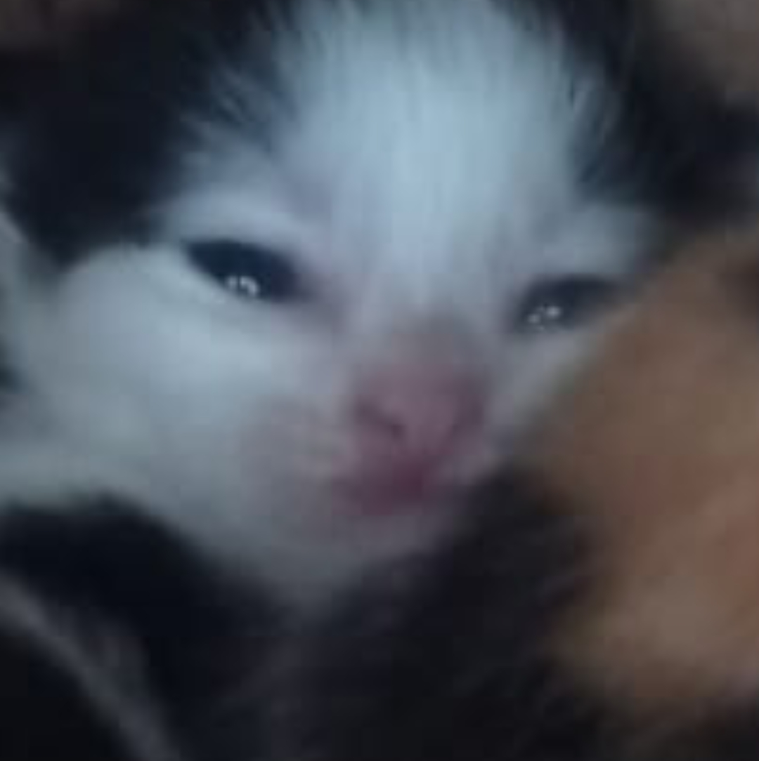 Asya