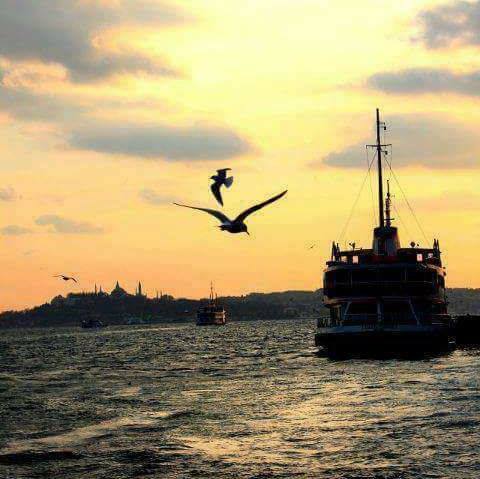 Nurgül