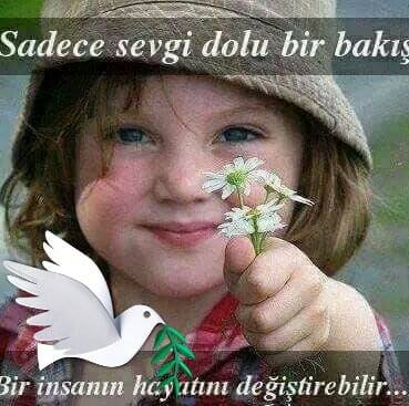 Gül
