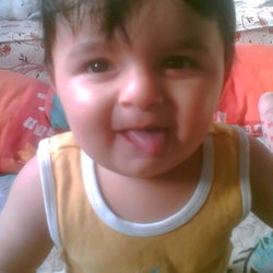 Erdal