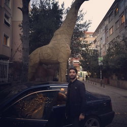 Mert