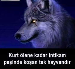 Batu