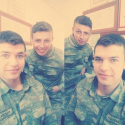 Mert