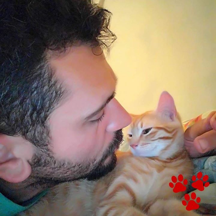 Barış