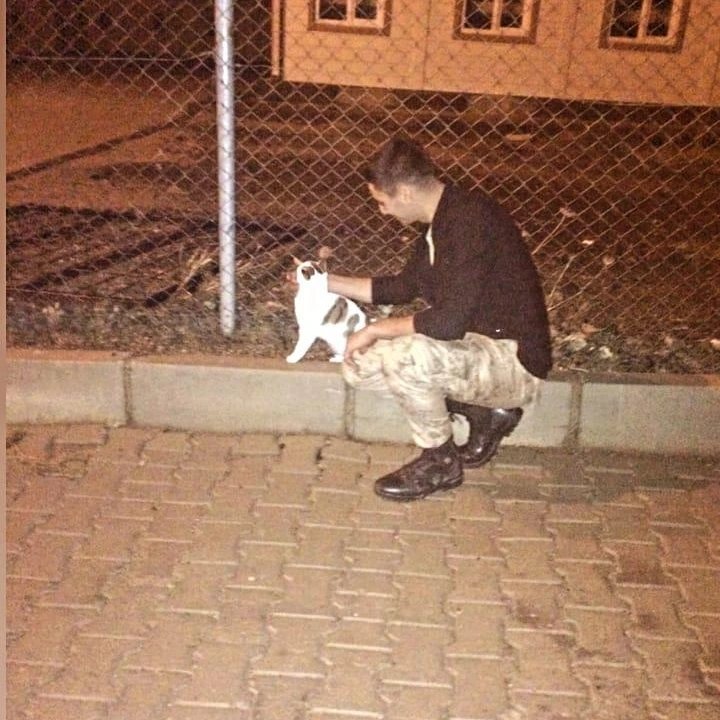 Özgür