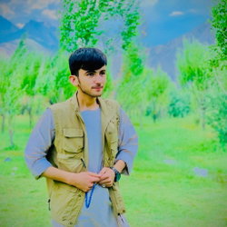 Salahuddin