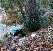 Selim